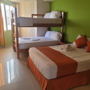 Departamento Penthouse A 1011 - Image 3