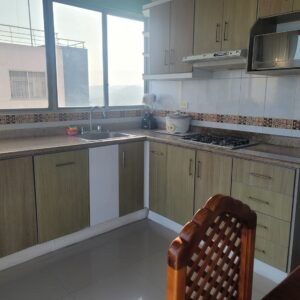 Departamento Penthouse A 1011 - Image 9