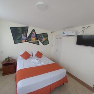 Suite Matrimonial B 1002 - Image 2